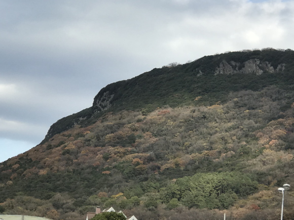 紅葉が終わった山の写真